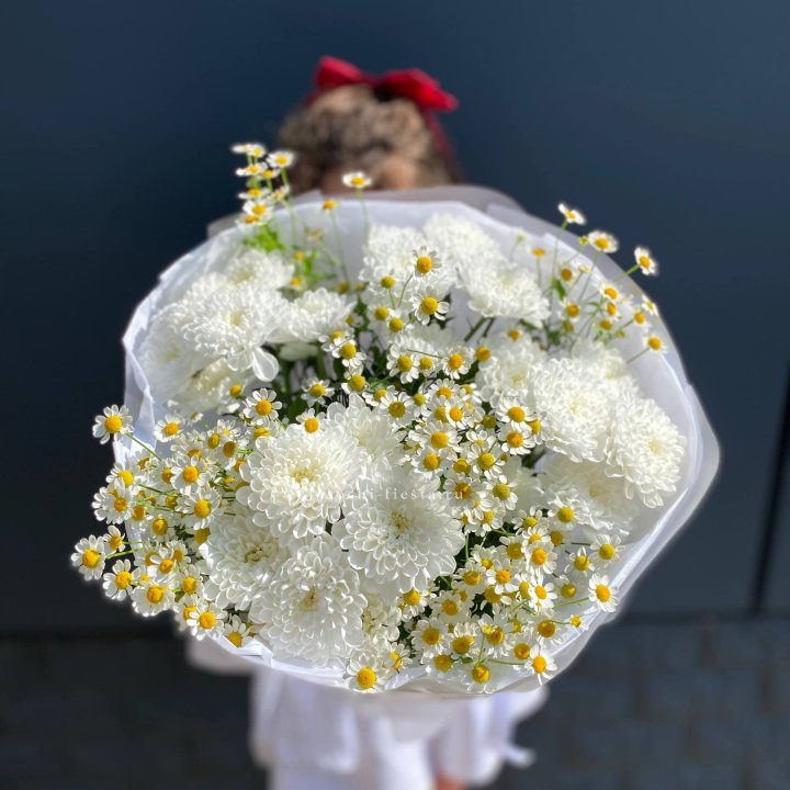 Дуо хризантемы и ромашки в Сочи