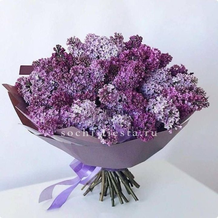 Букет сирени №4 в Сочи