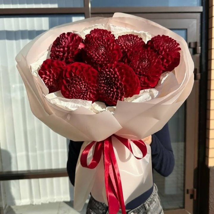 9 красных георгин в Сочи