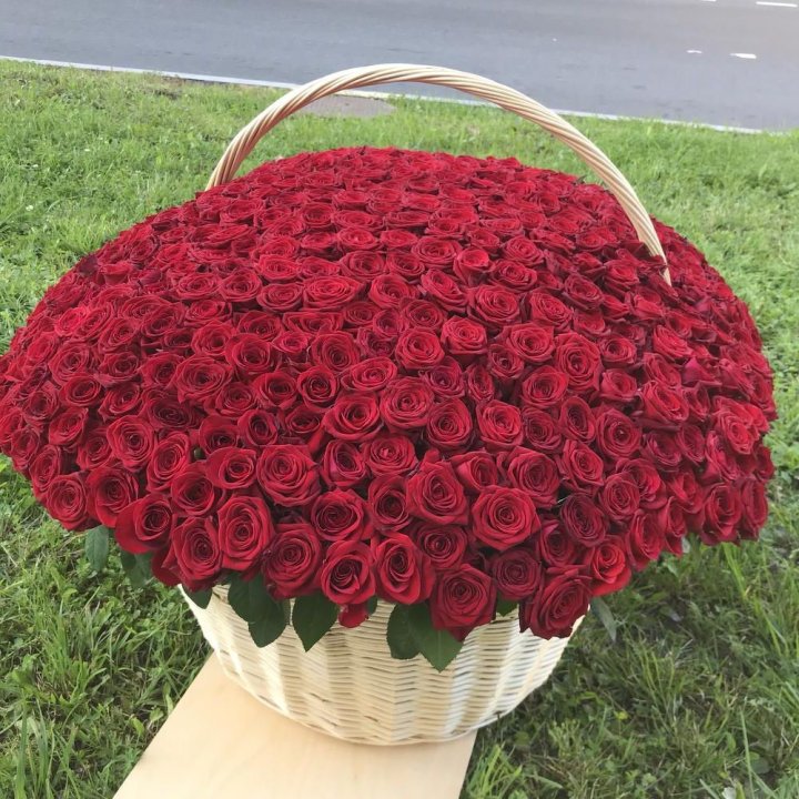 351 роза в Сочи