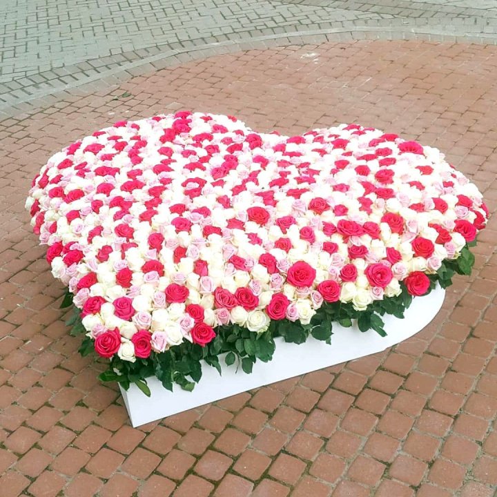 555 роза  в Сочи