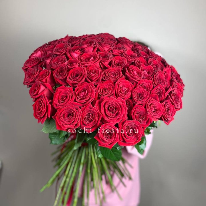 101  голландская роза  в Сочи