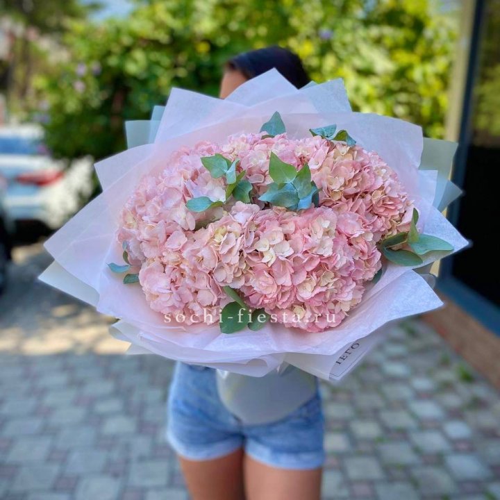 5 розовых гортензий  в Сочи