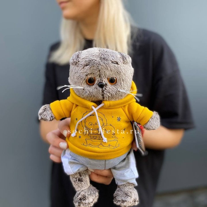 Кот Басик в худи в Сочи