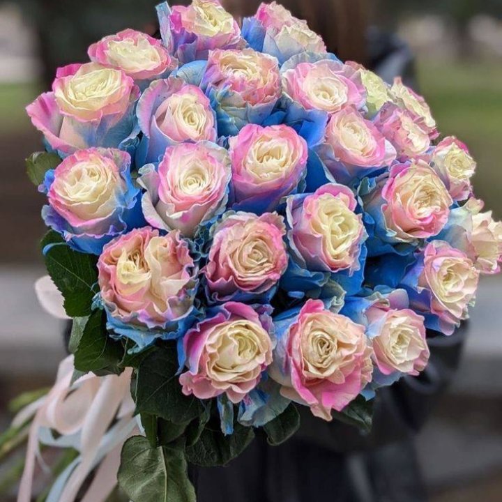 25 радужных роз в Сочи