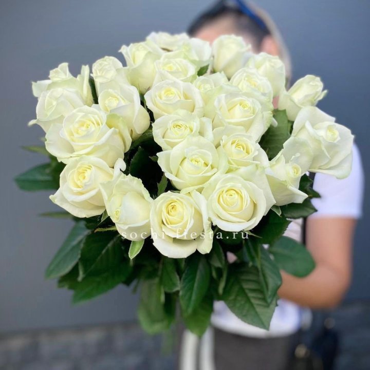 Голландские розы белые 25 с доставкой в Сочи